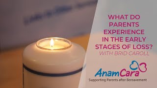 What do parents experience in the early stages of loss