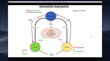 The Body on Stress - Allostasis and Allostatic Load
