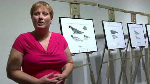 What Has Multidisciplinary Studies Done For You?