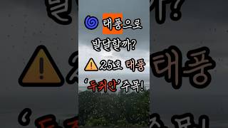 🌀 태풍으로 발달할까? 제25호 ‘두쥐안’ 주목! 한국 영향은?