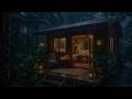 🌧️ “Rain Sounds at Night | Relaxing Nature Ambience for Deep Sleep and Stress Relief