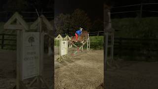 bareback jumping?! #horse #horses #horseriding #equestrian #pony #horsegirl #horsefan #horsey