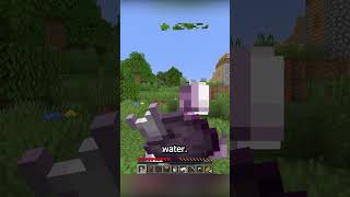 Beating Minecraft With Just A Chorus Fruit