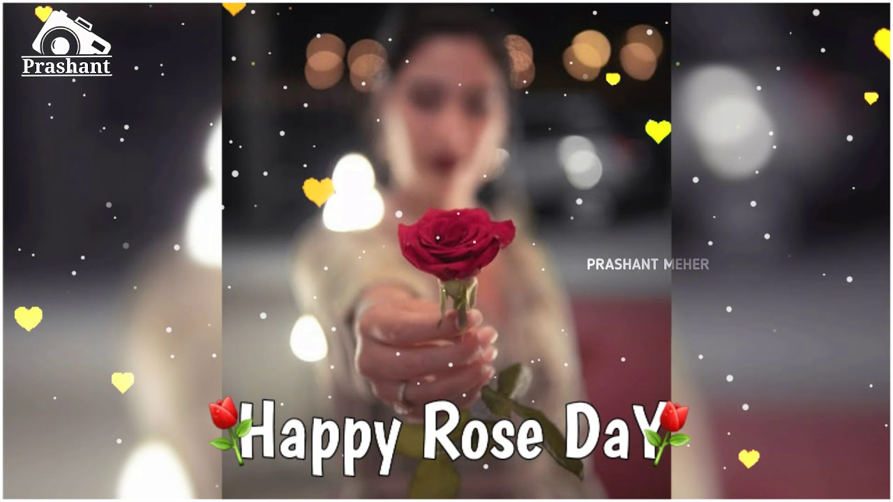 Rose🌹Day special What's app Status 2020 Happy Rose Day WhatsApp