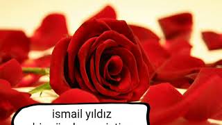İsmail Yıldız_Bir Güzel Sevmiştim