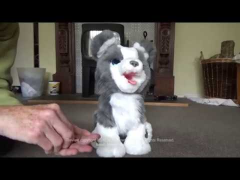 furReal Ricky, the Trick-Lovin' Interactive Plush Pet Toy 