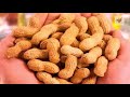तेजी से Muscle बनाए वाली सस्ती चीजे || Health and Fitness Tips Hindi ||