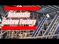 Vietnam Automatic Cashew Processing Factory - Capacity 150 tons per day