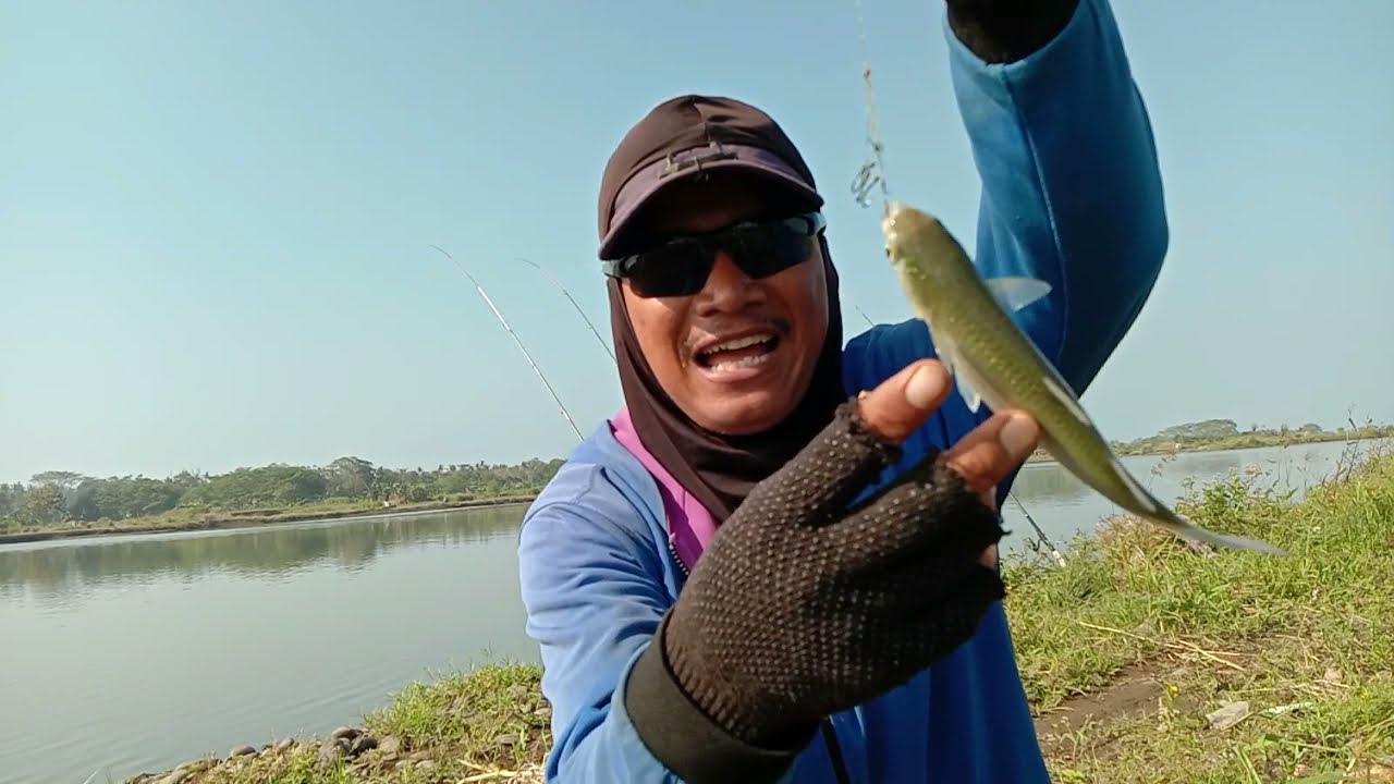 Mancing ikan belanak tidak perlu cari spot viral yang penting hasilnya mas bro