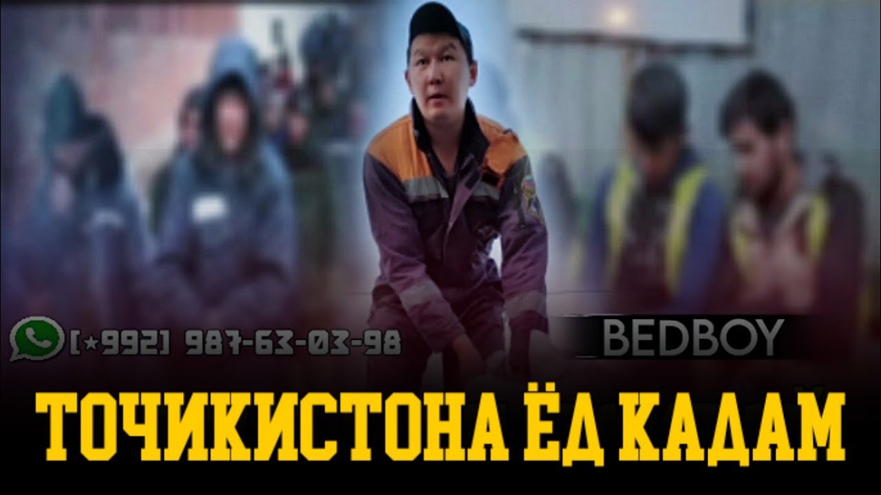 Amino 2100 ���������: ����.