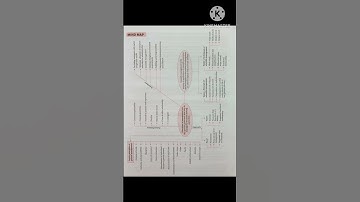 Mind Map| Principles of Management #mindmap #study #businessstudiesclass12 #class12 #businessstudies