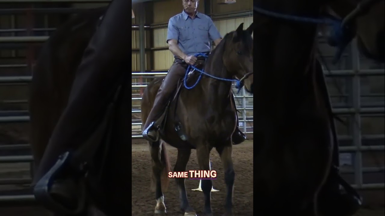 Using Subtle Seat Aids for Clear Direction and Control