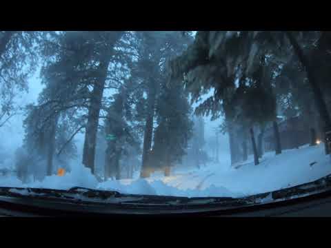 Our Dog Got Lost in a Snow Storm (Dad Life)