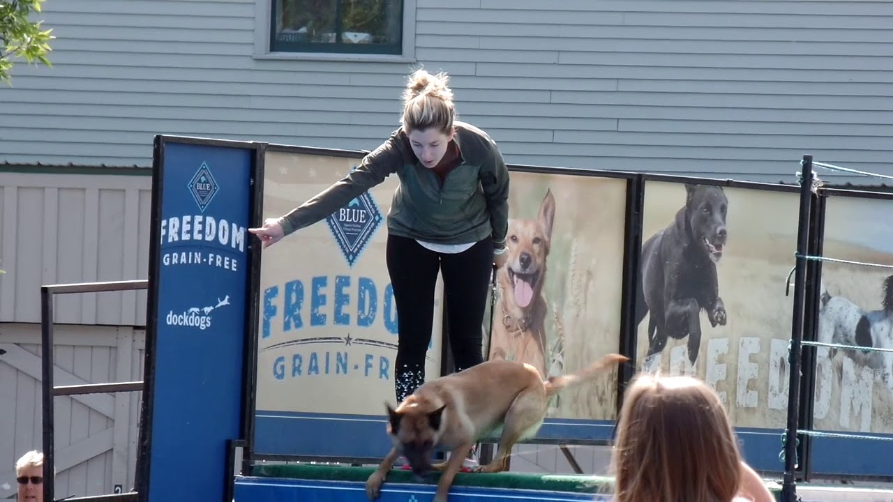 Dock Dogs at L.L. Bean in Freeport, ME YouTube