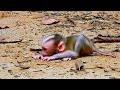 Best action || Little child waiting for mother to comfort him