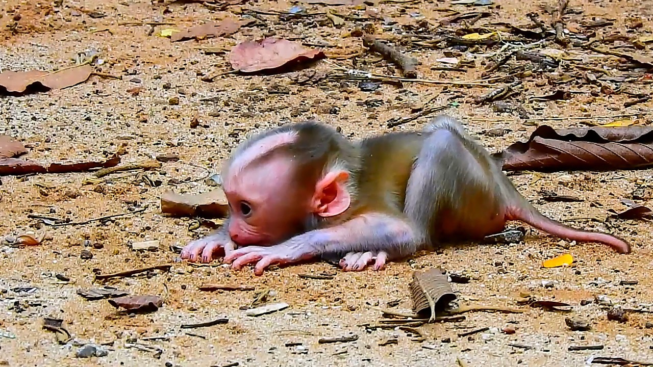 Best action || Little child waiting for mother to comfort him