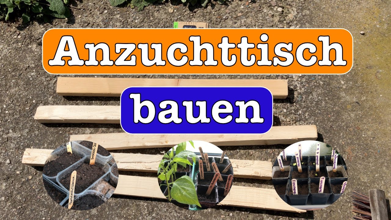 Pflanzen Anzucht Tisch für den Folientunnel günstig selber bauen YouTube