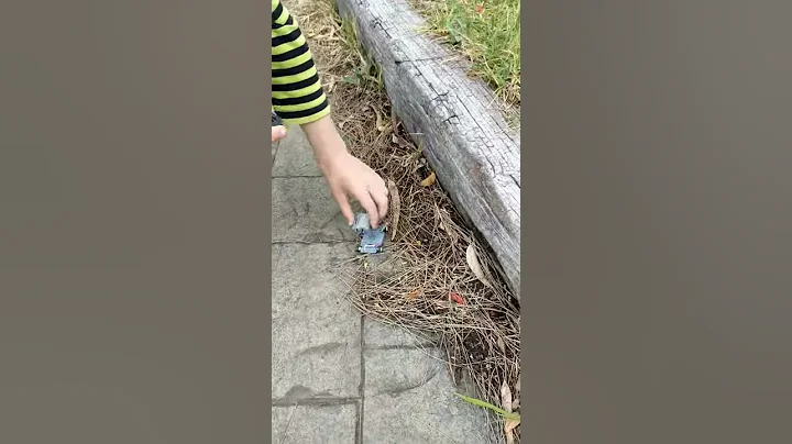 Launching R8-B3 salt water robot