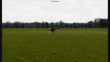 Trex 500 ESP Canopy - Phoenix RC Sim