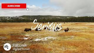Best Country Serious Music for Video [ Falconer - Georgia Sunset ]