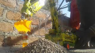 Lalit jatav amlar(4)