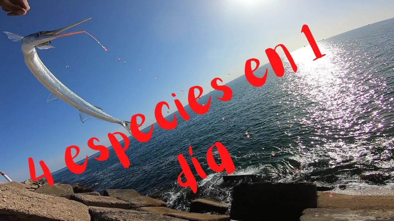 Primer Video a SPINNING en el ESPIGÓN de HUELVA