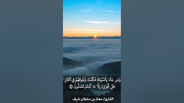 ما تيسر من سورة النمل بصوت القارئ/ معاذ بن سلطان شرف