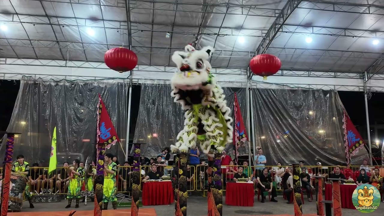 🥉2 место | Тенг Ги | Чемпионат по акробатическим танцам со львами, Кубок Фу Цзинь @ 2-й Кубок Нам...