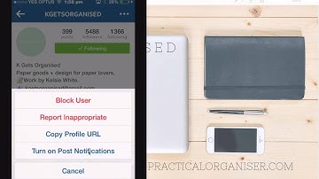 Instagram Notifications - an easy social media strategy to get smart with your time!