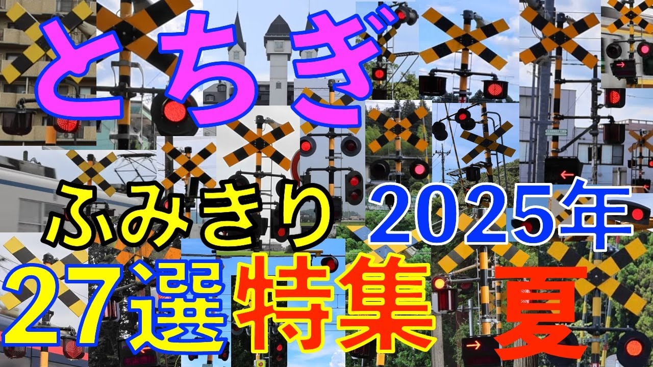 🚦踏切特集2025年夏27選🚦 栃木県限定！特急スペーシアX・スペーシア＆JR蓄電池電車【東武鉄道＆JR】Railway crossing(Tochigi japan)