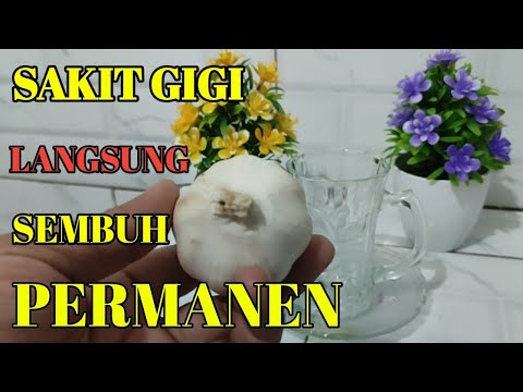 Obat sakit gigi