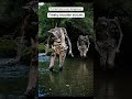 The Scariest Things Found In The Woods! 😱😱😱 ep 149 #facts #viral #animals #shorts #animalday