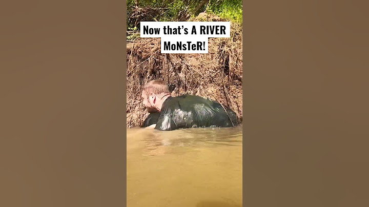 Man Noodles a River Monster!! How to Catch Catfish with your Feet and Hands!! #noodling