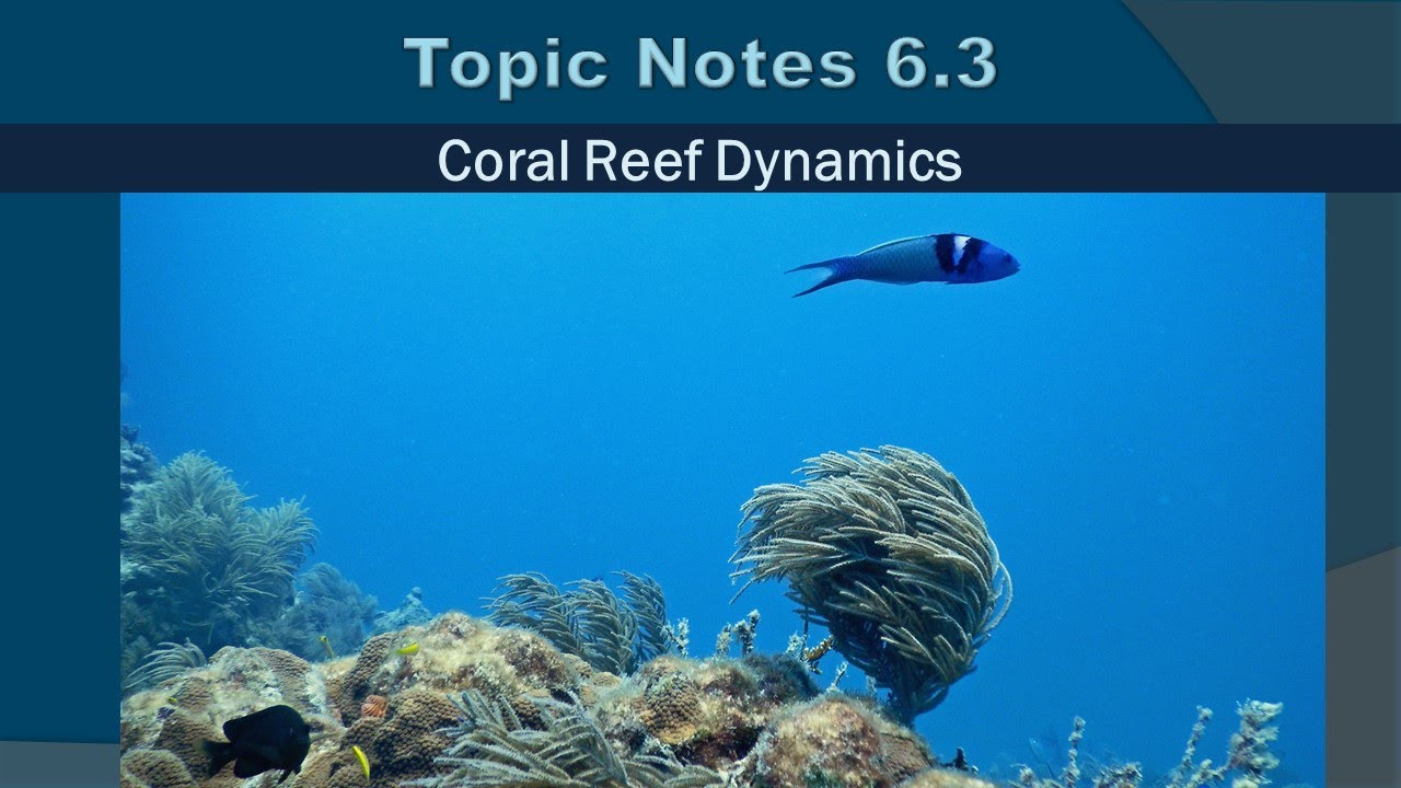 Topic Notes 6.3: Reef Dynamics