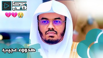 من أندر وأجمل التلاوات للشيخ د.ياسر الدوسري || هدوء يأسر القلوب ||