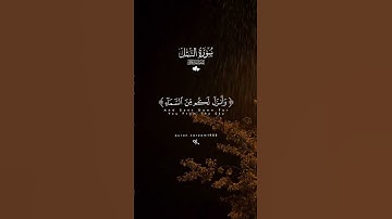 القارئ عبدالله الموسى وأنزل لكم من السماء