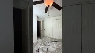 🎨 I’m what they call… a freestyle painter Wealth