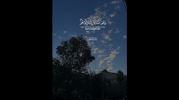 سورة القصص الآية 68-70 القارئ ياسر الدوسري