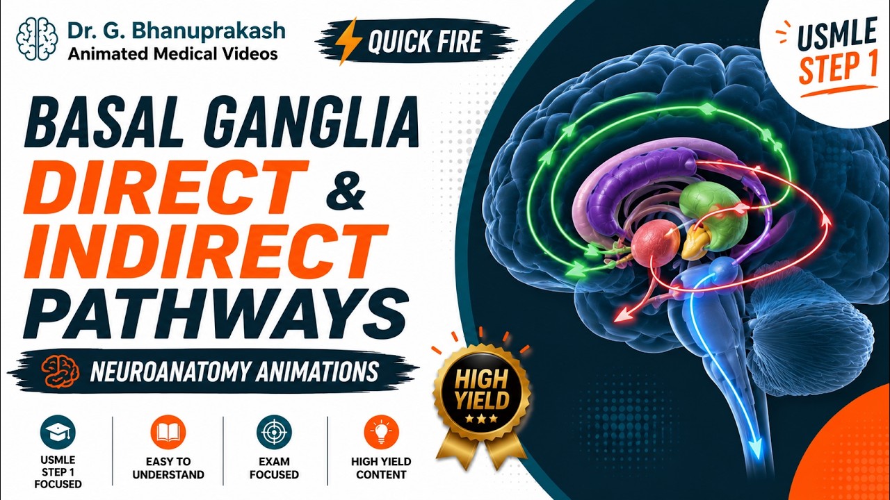 Basal Ganglia Pathway Direct Indirect Circuits Explored [Go/No-Go ...