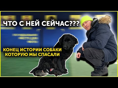 Чем закончилась история