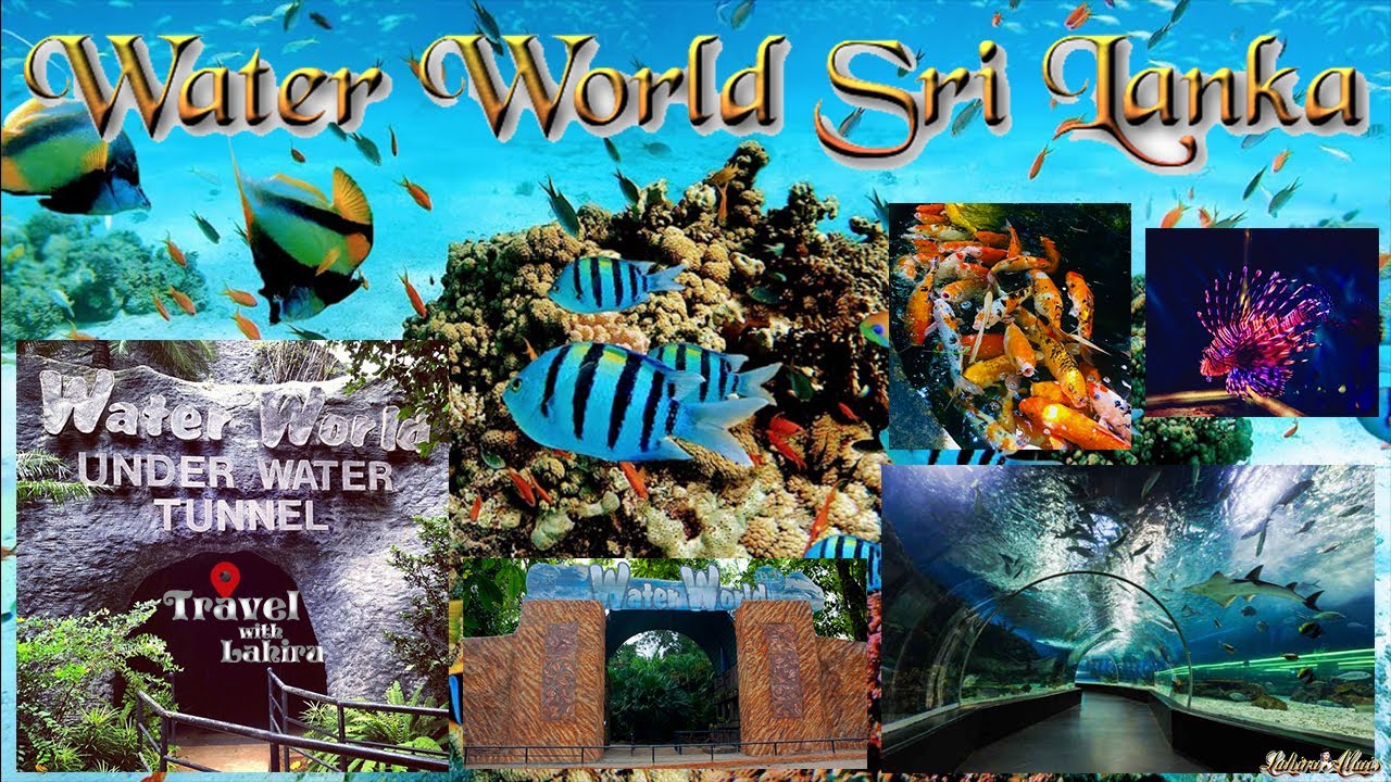 Water World Sri Lanka Kelaniya Under Water Tunnel Fish Aquarium Tour Lahiru Alwis YouTube