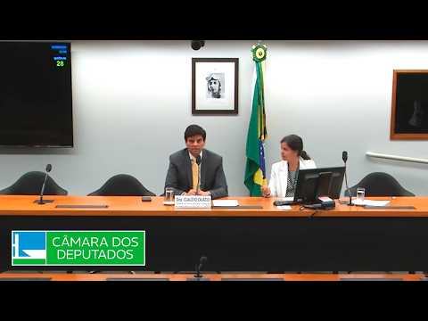 COMISSÃO DE VIAÇÃO E TRANSPORTES