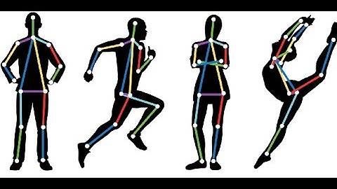 Human Action Recognition From Depth Maps And Postures Using Deep Learning