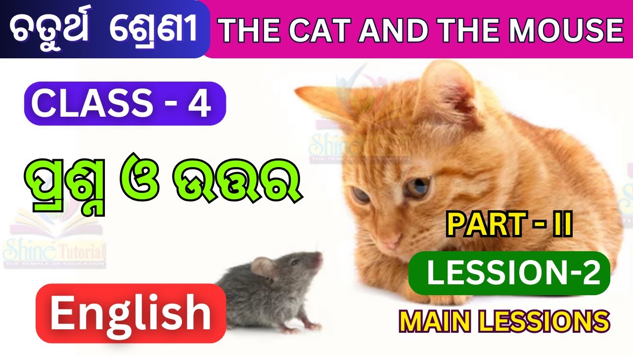 class-4-english-lesson-2-odia-medium-question-answer-the-cat-and-the