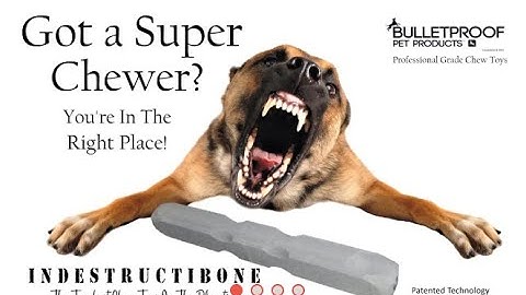 Review: Indestructibone Dog Toy from Bulletproof Pet Products