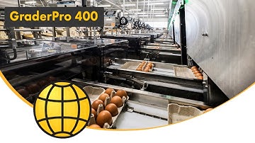 Automatic Egg Grading Machine (2025) | SANOVO GraderPro 400 in Action