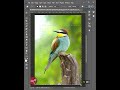 Photoshop tips: How to make background blurry