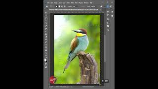 Photoshop tips: How to make background blurry