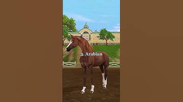 Top 4 horses you NEED || Star Stable Online
