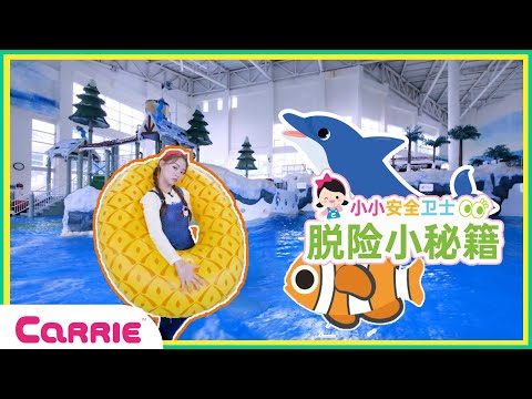 🦈 凉爽的水上乐园里的鲨鱼朋友大探险！